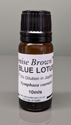Blue Lotus Absolute 'TYPE' Dilution (10mls) Essential Oil