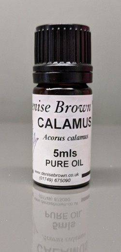 Calamus (5mls) Essential Oil