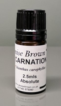 Carnation Absolute (2.5mls) Essential Oil