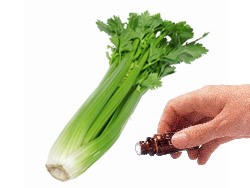 Celery Seed  (5mls)