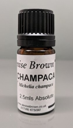 Champaca Absolute (2.5mls) Essential Oil
