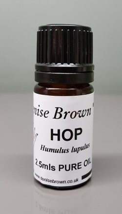 Hop (2.5mls) Essential Oil