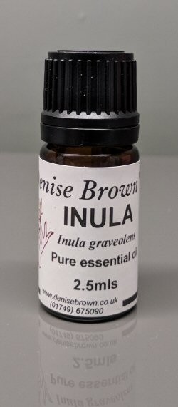 Inula (2.5mls) Essential Oil