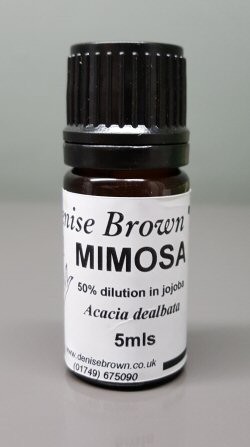Mimosa Absolute 50% Diluted (5mls) Essential Oil