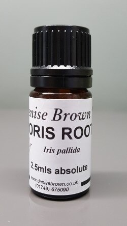 Orris Root Absolute  (2.5mls)