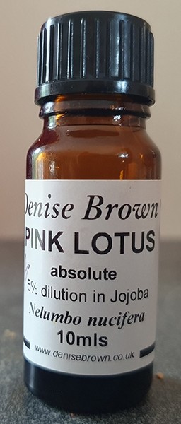 Pink Lotus PURE ABSOLUTE Dilution (10mls) Essential Oil
