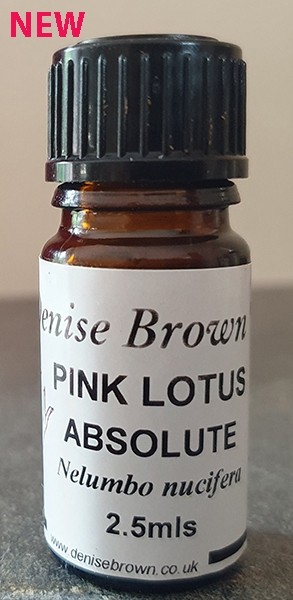 Pink Lotus PURE ABSOLUTE (2.5mls) Essential Oil