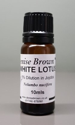 White Lotus Absolute 'TYPE' Dilution (10mls) Essential Oil