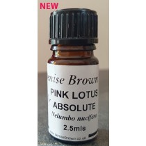 Pink Lotus PURE ABSOLUTE (2.5mls) Essential Oil