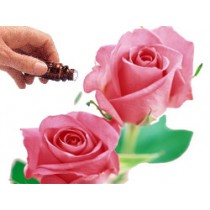 Rose Otto 5% Diluted (10mls) Essential Oil
