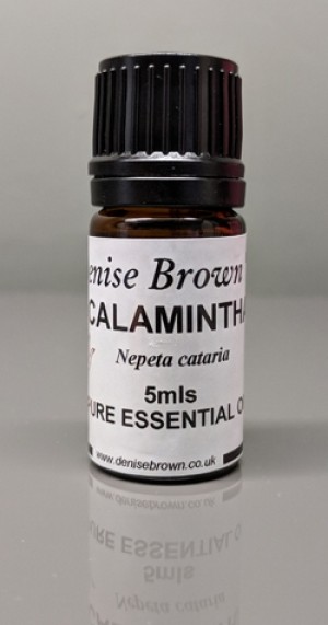 Calamintha (10mls) Essential Oil