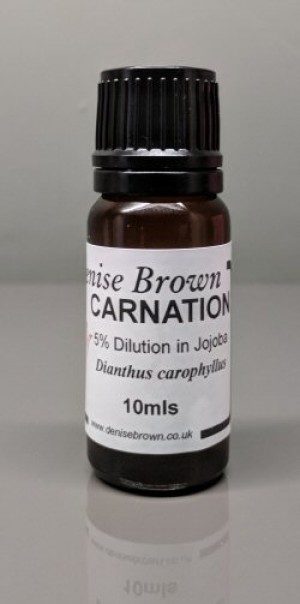 Carnation Absolute Dilution (10mls) Essential Oil
