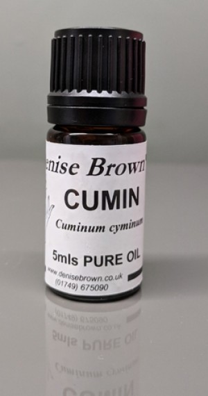 Cumin Seed (5mls) Essential Oil