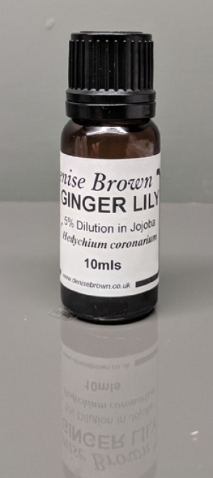 Ginger Lily Absolute 'TYPE' Dilution (10mls) Essential Oil