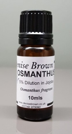 Osmanthus Absolute 'TYPE' Dilution (10mls) Essential Oil