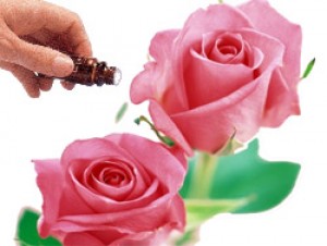 Rose Otto 5% Diluted (10mls) Essential Oil