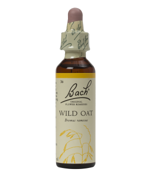 Wild oat